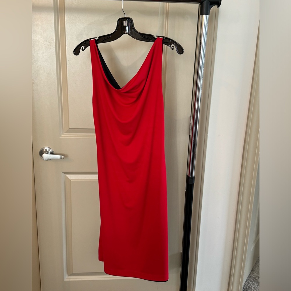 Express Reversible Cowl Neck Dress